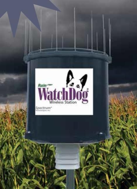 WatchDog®Wireless Rain+Temp Station