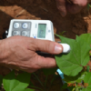 Chlorophyll Meters_2900