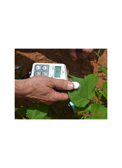 Chlorophyll Meters_2900